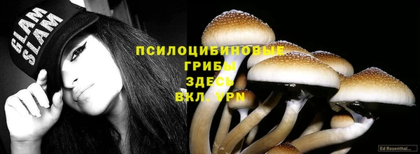 ECSTASY Каменск-Шахтинский