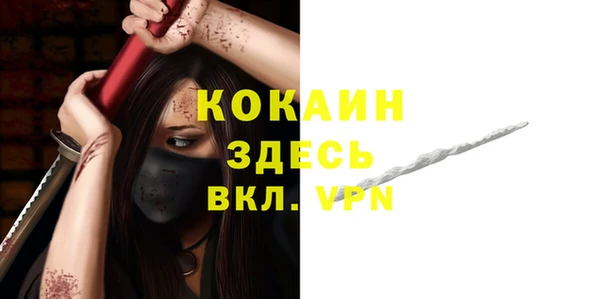 ПСИЛОЦИБИНОВЫЕ ГРИБЫ Каменка
